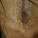 Wooden hollow dish