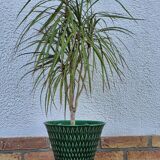 Green flowerpot