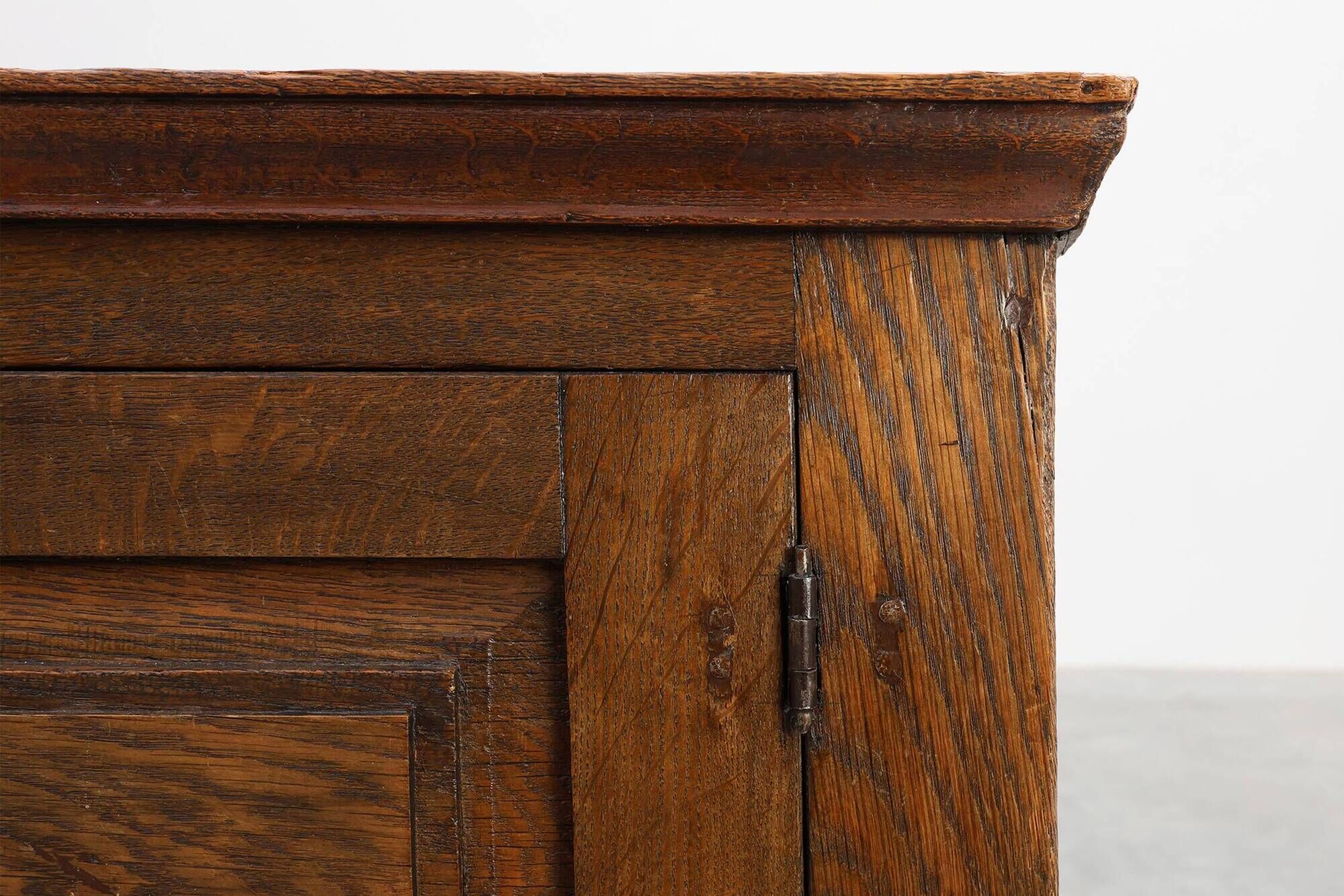 Rustic Solid Oak Cabinet with Geometric Floral Carvings, Belgium – 17th Cen