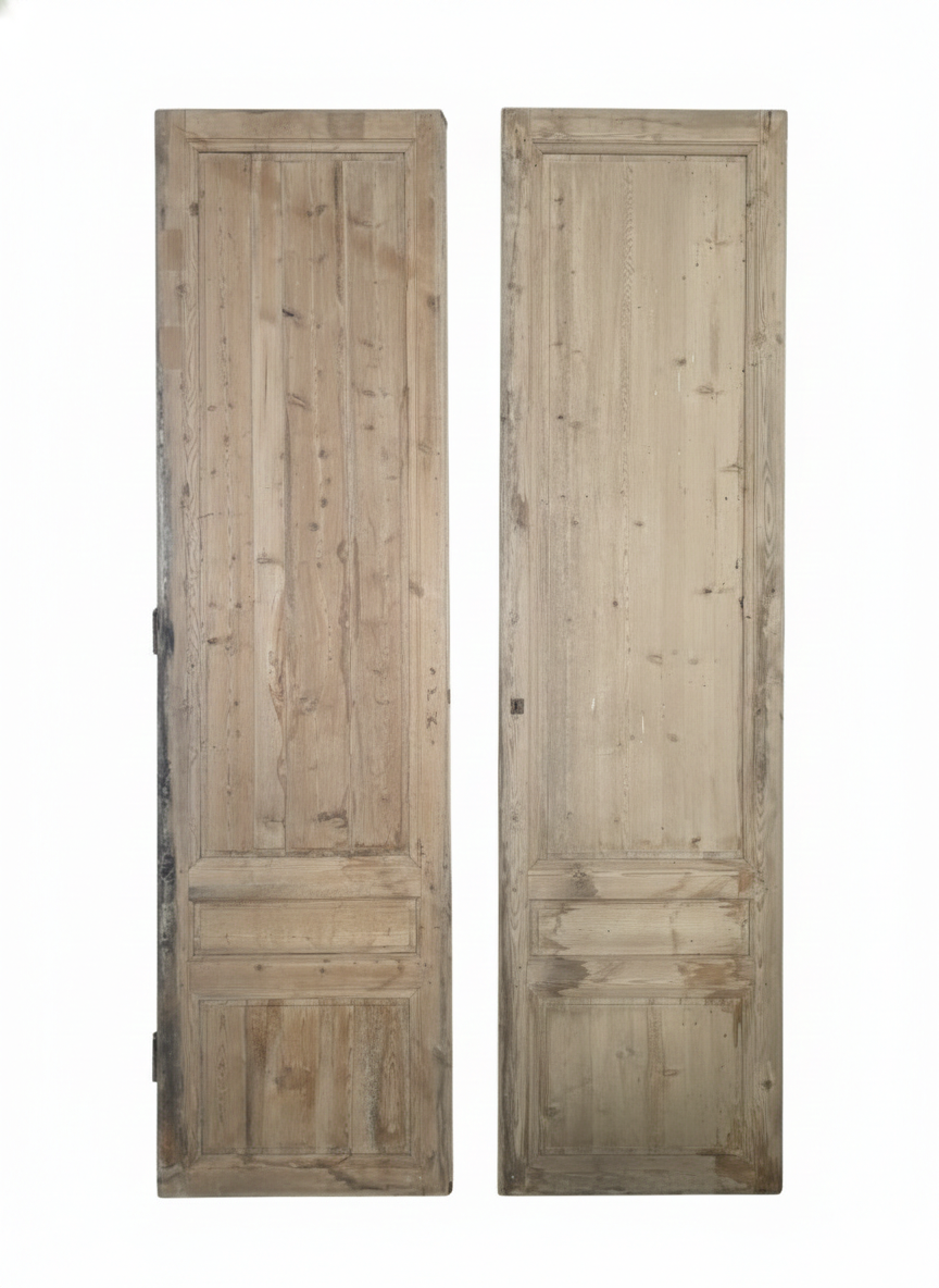 Pair of doors, 19th century