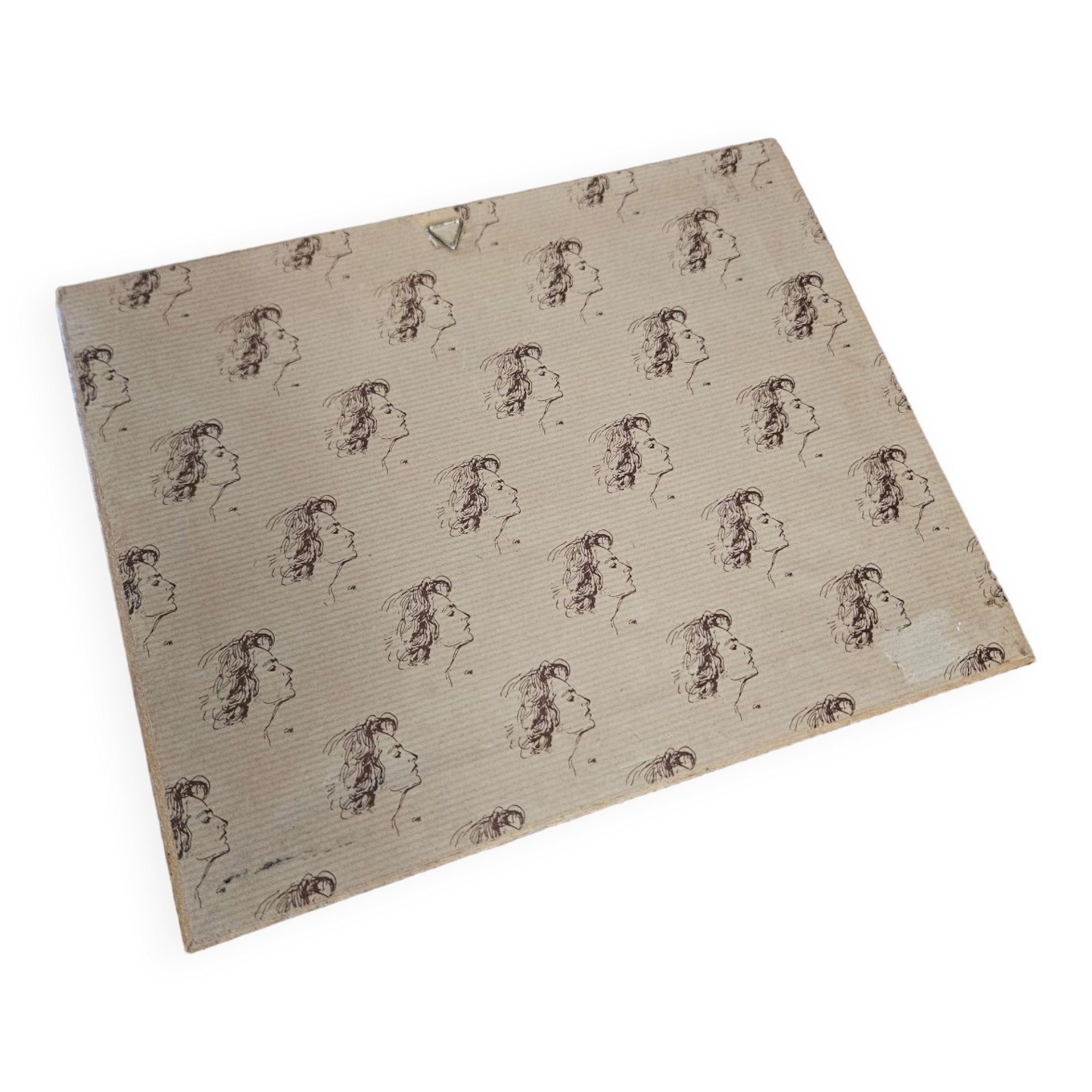 Plum tree botanical board under wooden frame