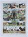 Original plate from 1930: exotic and wild mammals, biodiversity