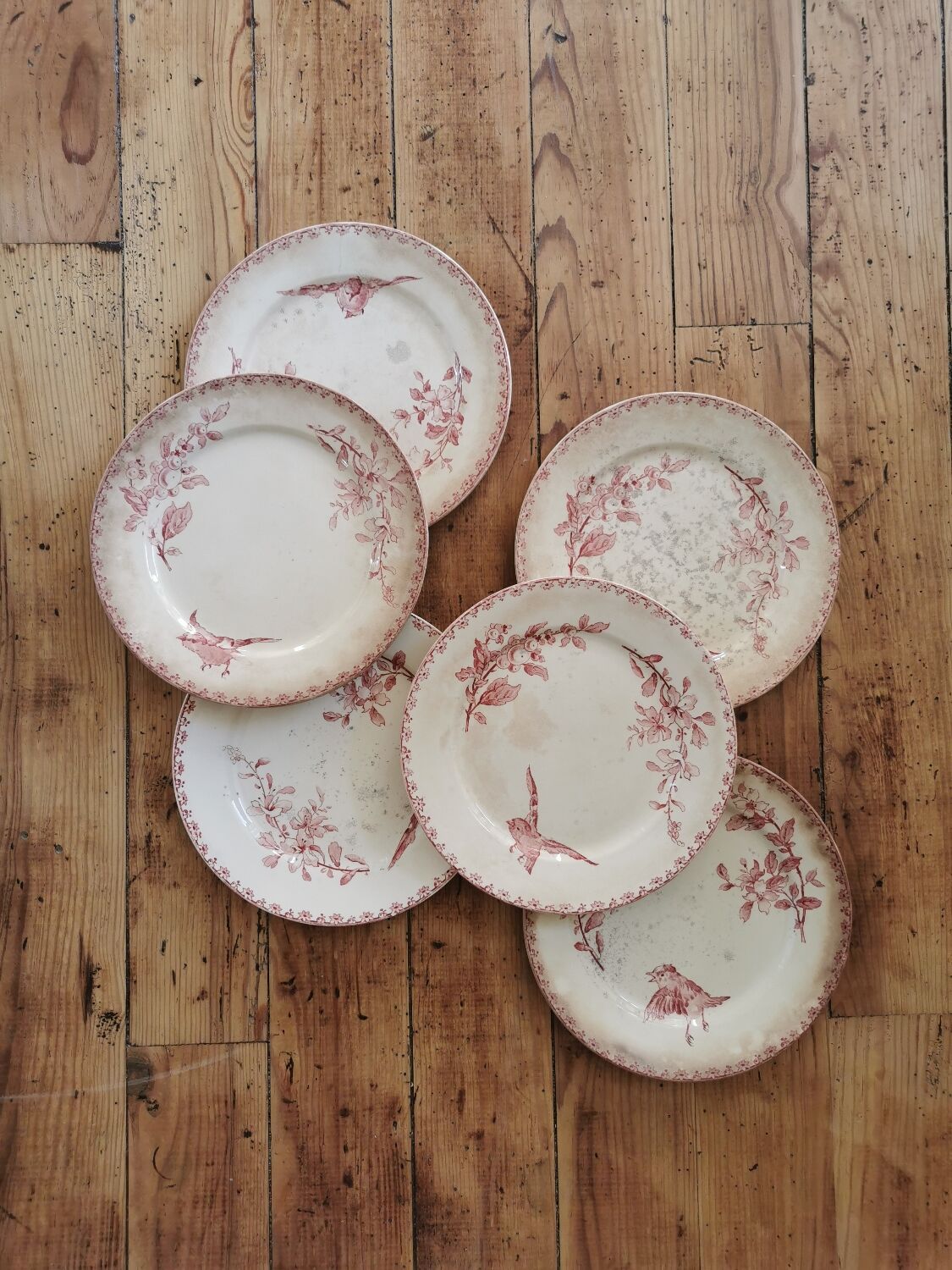 Assiettes anciennes Sarreguemines "Favori"