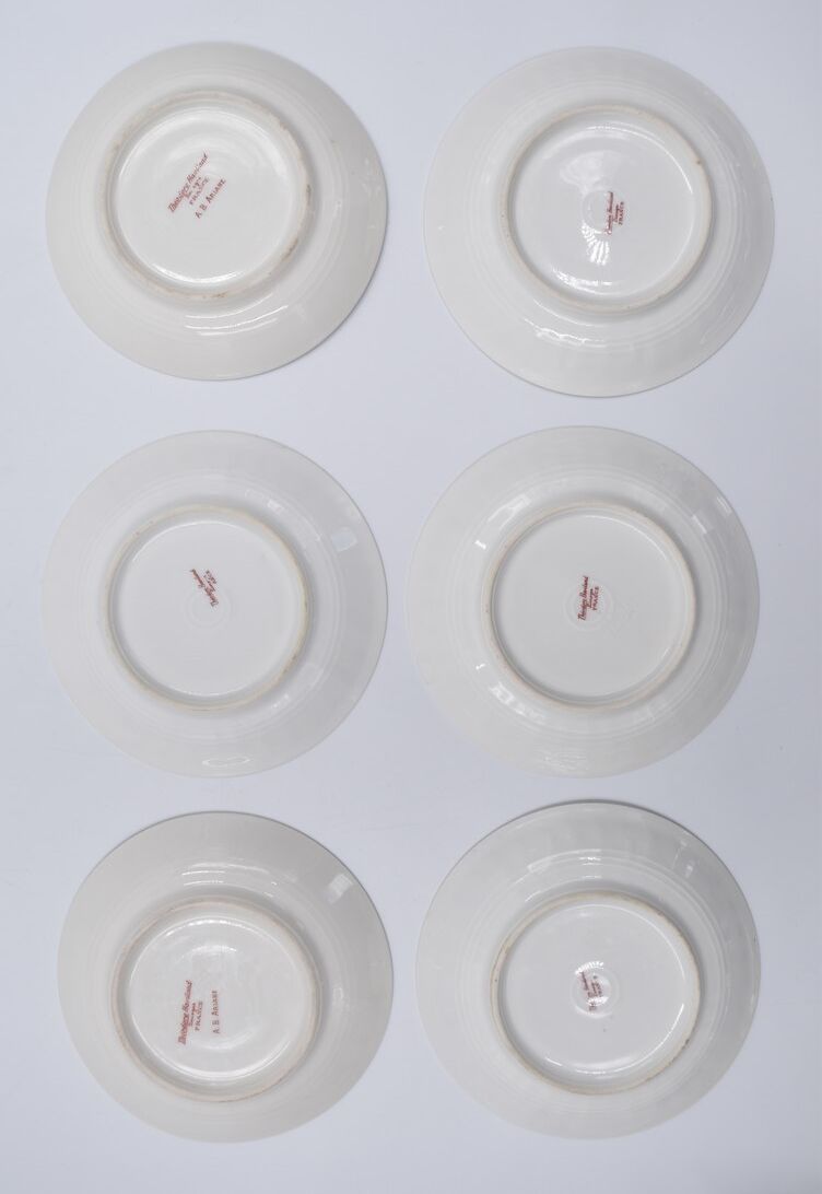 6 cups and saucers porcelain Haviland Limoges barbed-wire décor