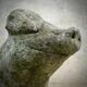 Concrete garden pig