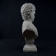 Bust of Marcus Aurelius Caesar as a teenager, in terracotta with a grey patina, 20th century