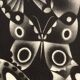 Mario avati (1921-2009), papillons, manière noire, 1970