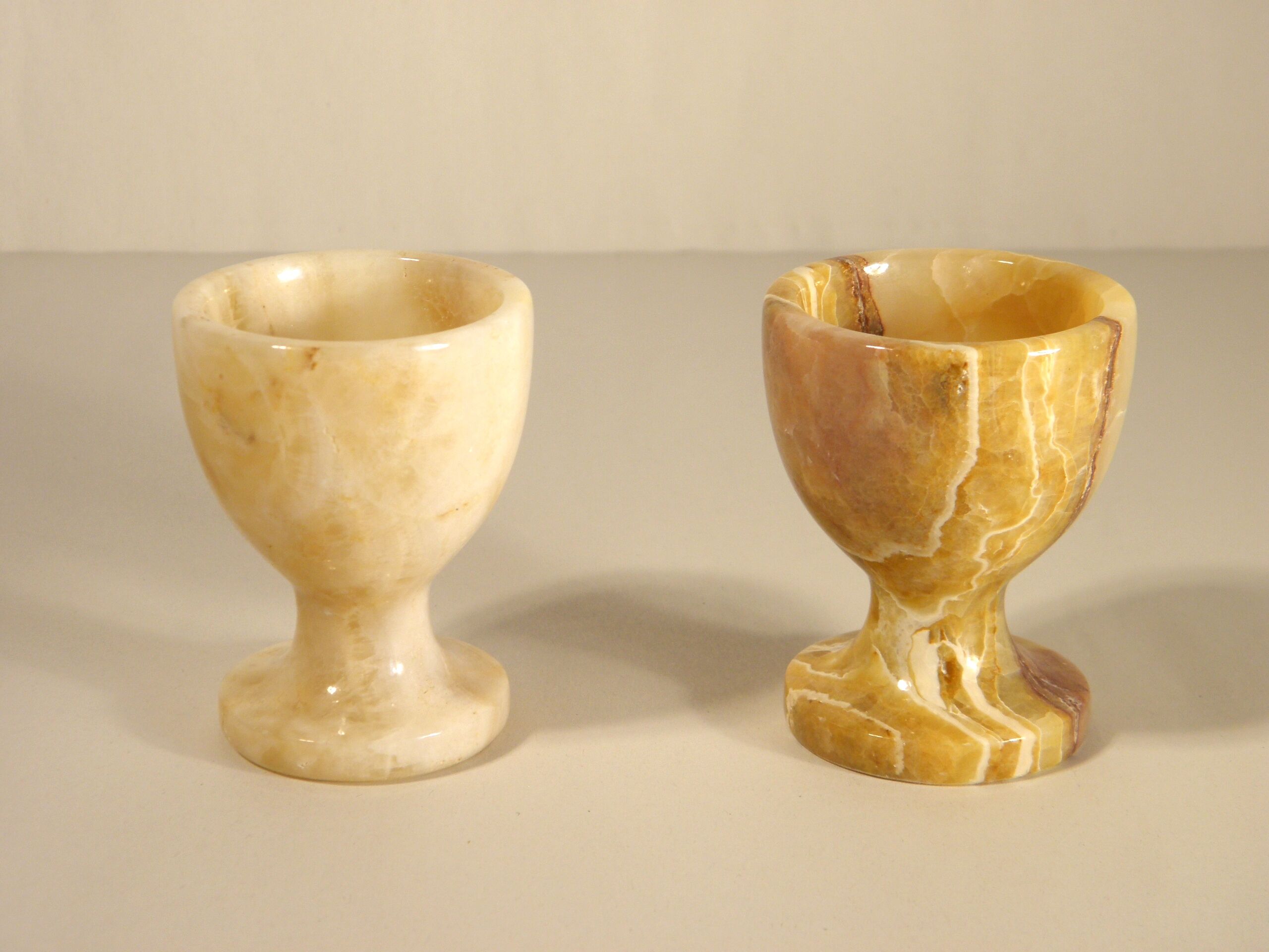 Two onyx cockroaches