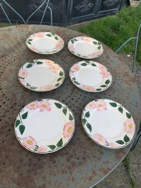 6 small earthenware dessert plates, Villeroy and Boch, wild rose, hawthorn, west germany