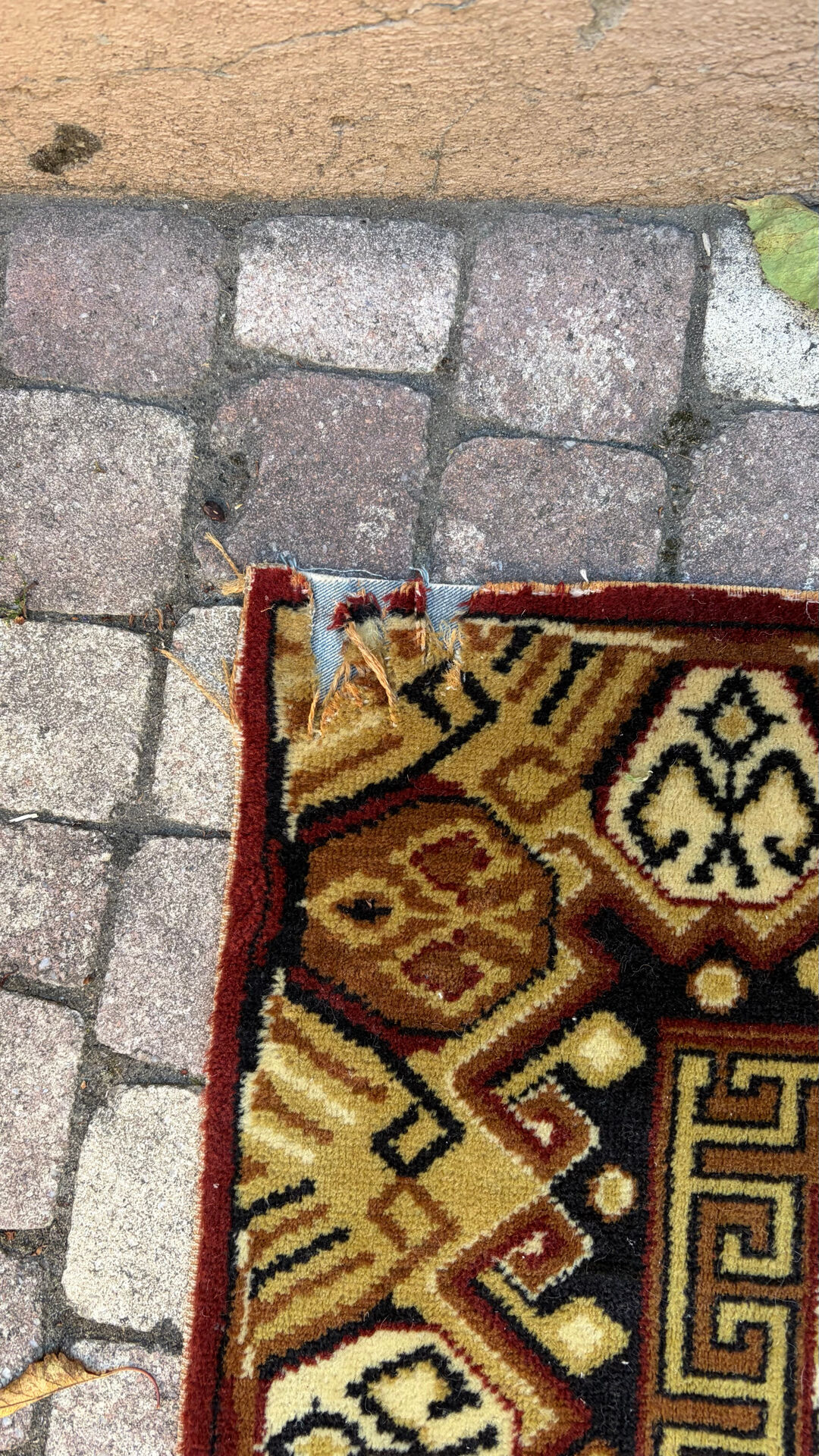 Grand tapis style persan / oriental – 250 x 340 cm