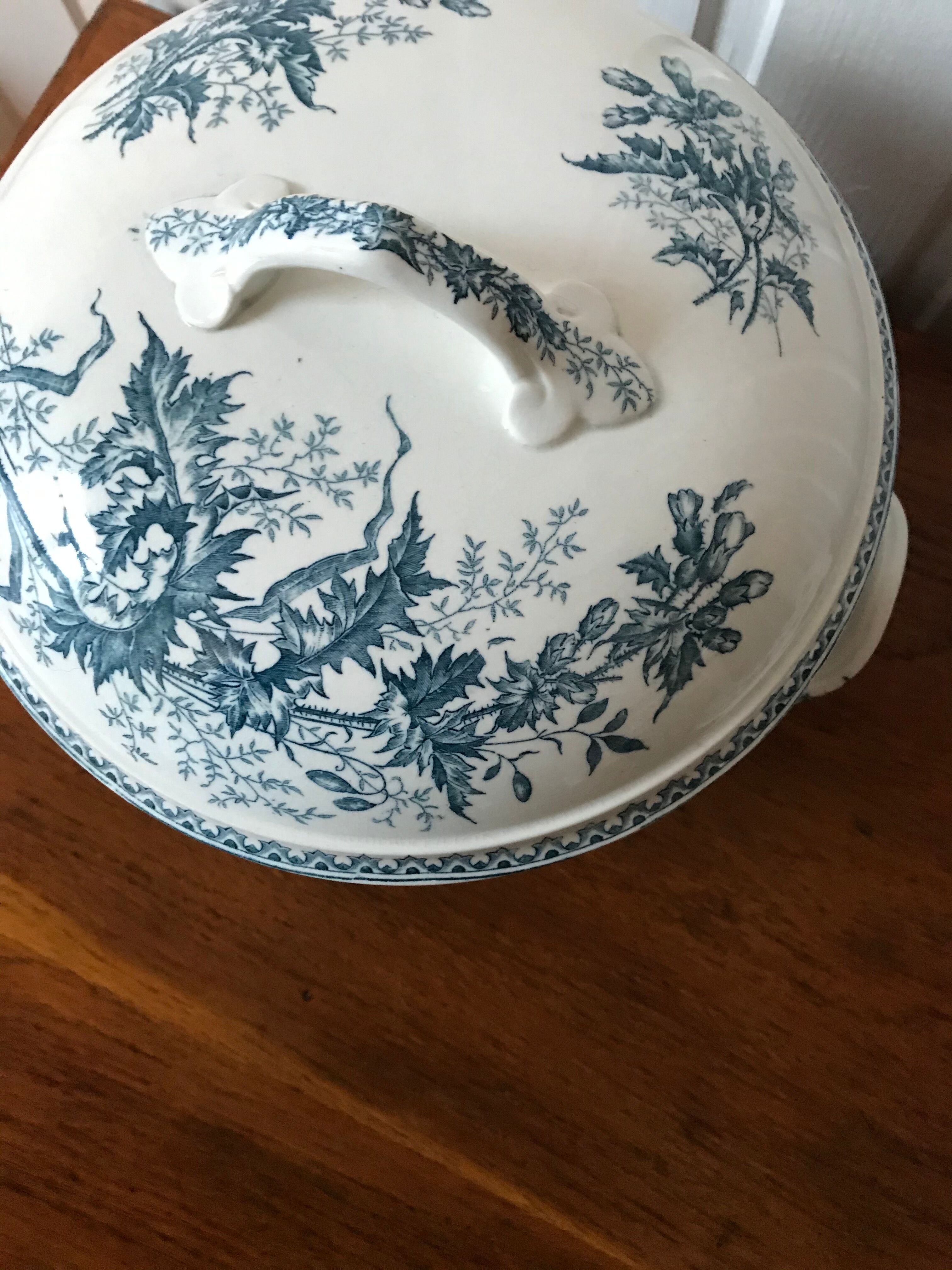 Thistle Iron Earth Soup