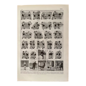 Planche photographique sur la boxe de 1940