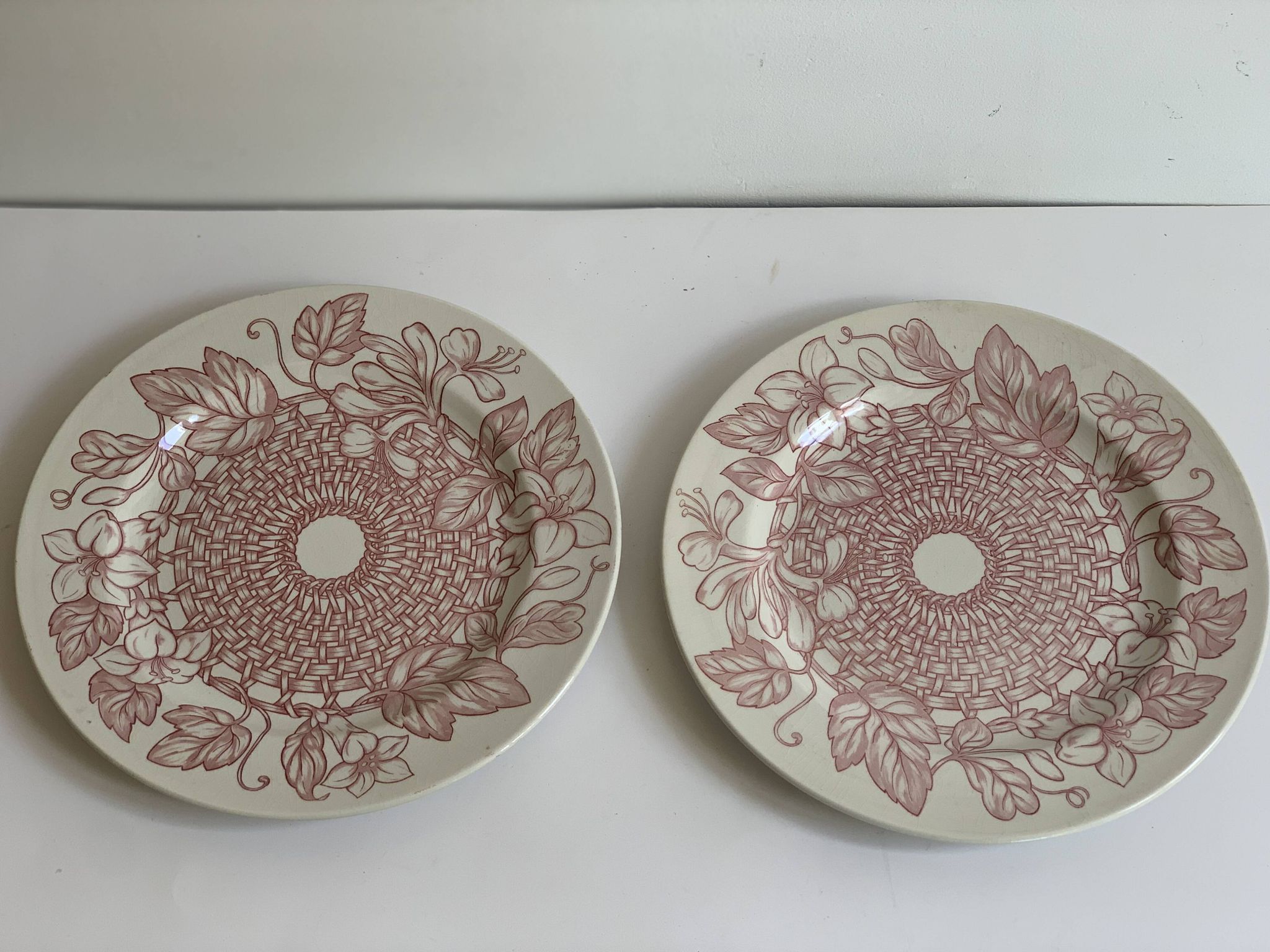 Paire d'assiettes Sarreguemines terre de fer