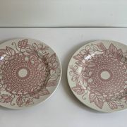 Paire d'assiettes Sarreguemines terre de fer