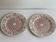 Pair of Sarreguemines iron earth plates