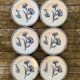 6 assiettes terre de fer