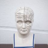 Porcelain bust, Fowler phrenology head, cabinet of curiosities, collection