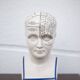 Porcelain bust, Fowler phrenology head, cabinet of curiosities, collection