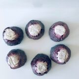 Honeys and obotin 6 cups