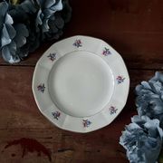 Assiettes et plat en véritable opaque Digoin Sarreguemines