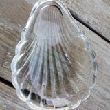 Scallop shell