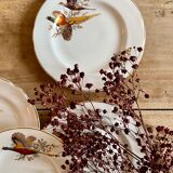 Set of 6 vintage dessert plates