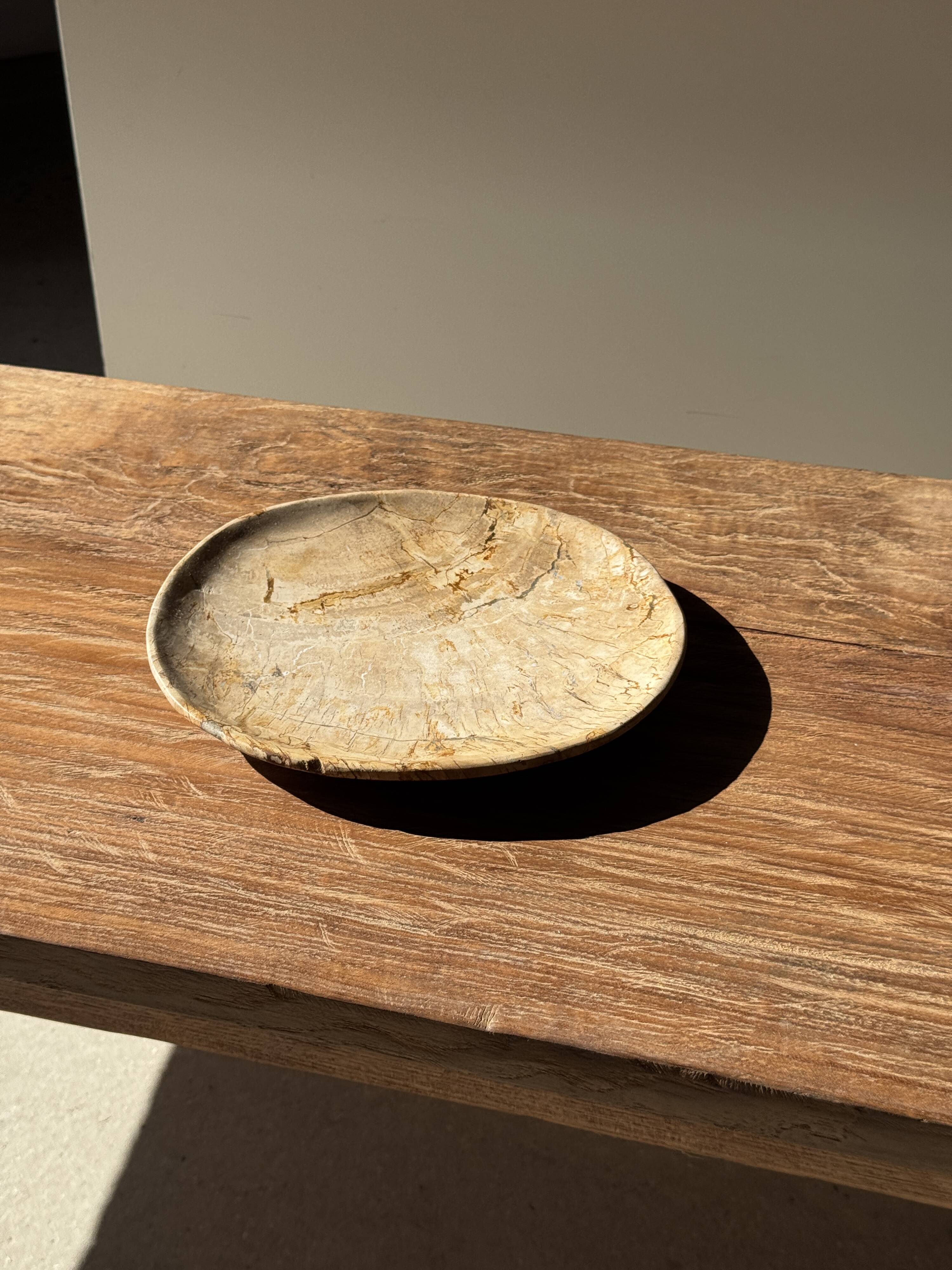 Small pocket tray or circular beige petrified wood dish D22.5-20 -3310