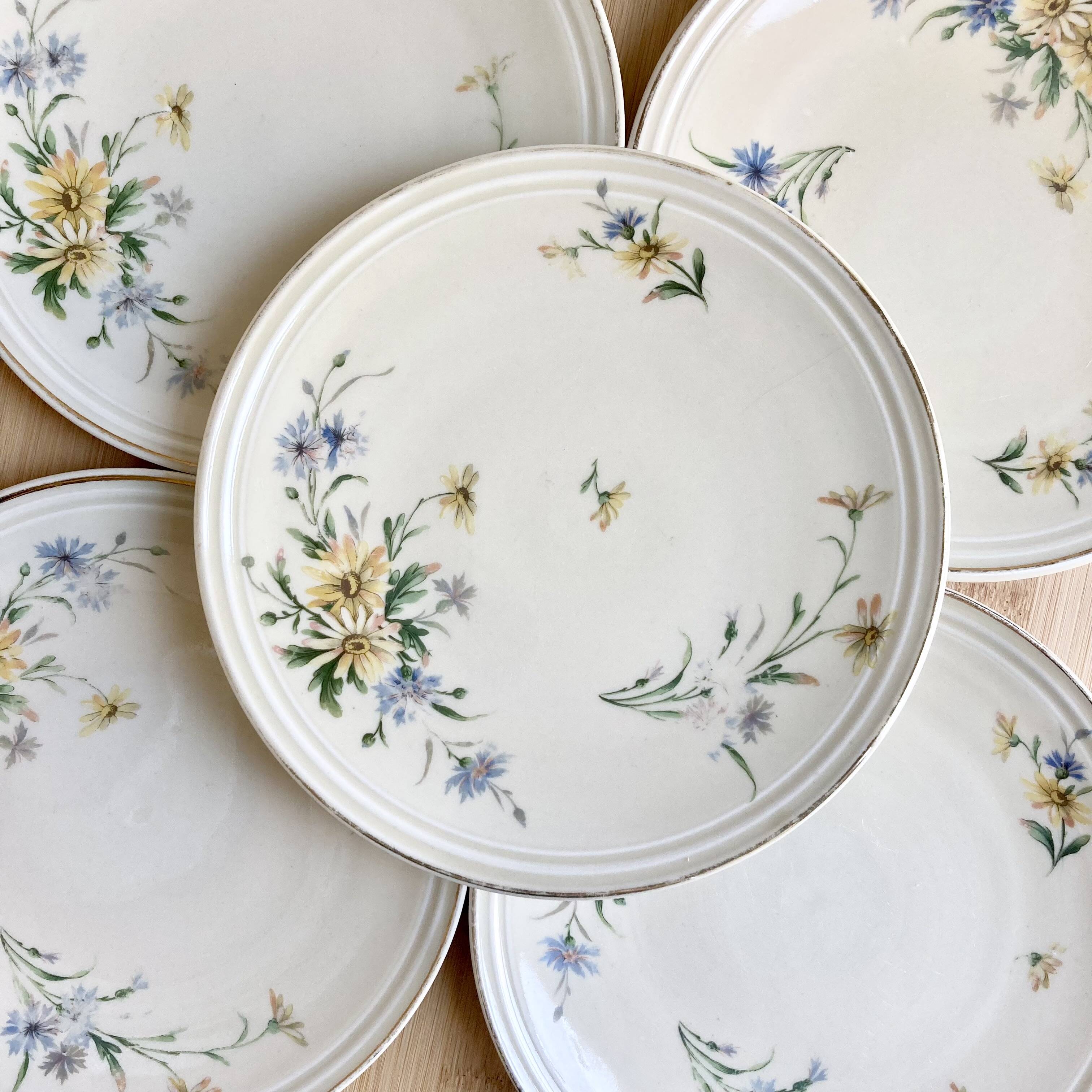 6 Limoges porcelain dessert plates 1915