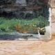 Oil on cardboard signed - View of a village