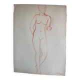 Female nude drawing