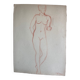Female nude drawing