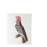 Plates of the bestiary from the Natural History Museum Cockatoos