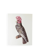 Plates of the bestiary from the Natural History Museum Cockatoos