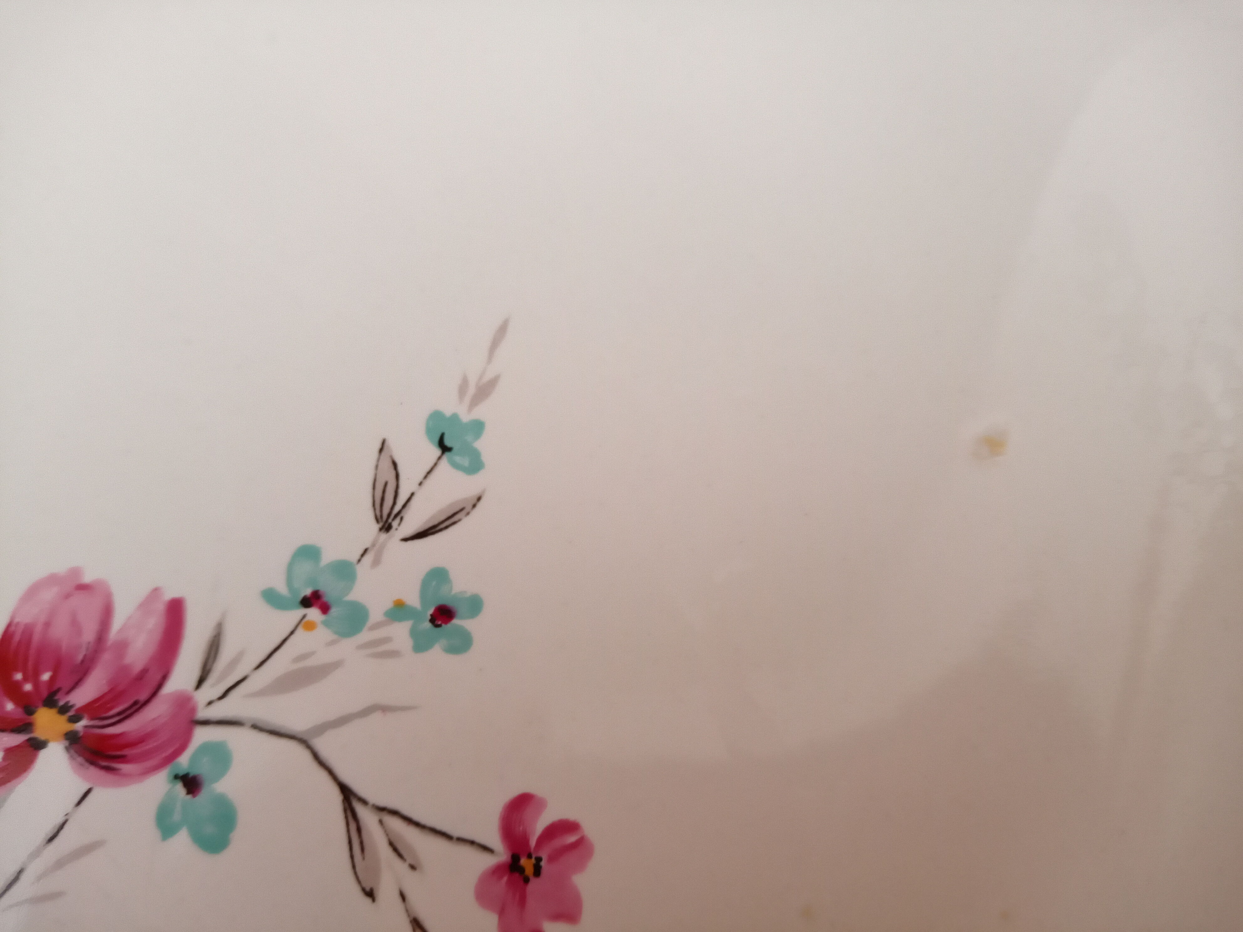 Salins France Polynesia style pie or cake dish