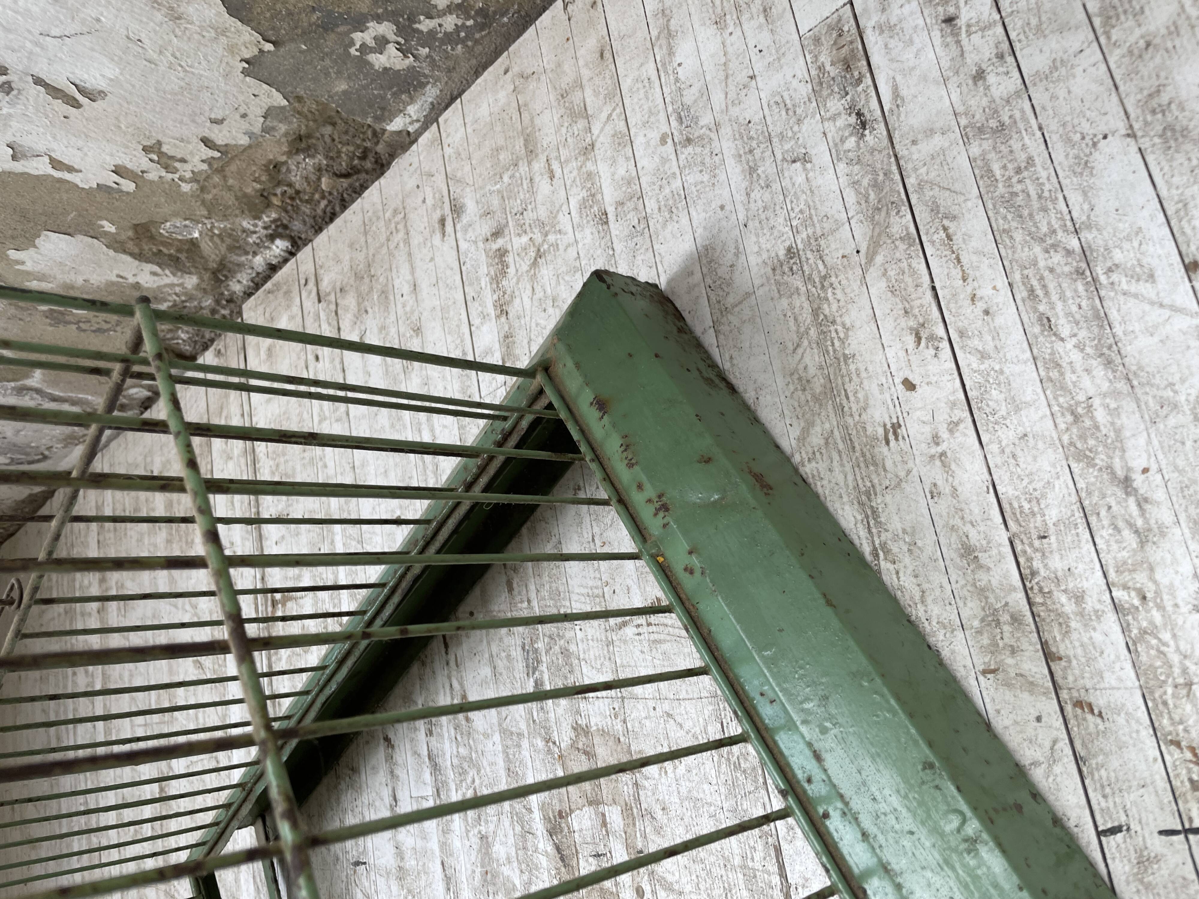 Decorative metal cage