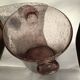Biot mouth-blown glass champagne bucket