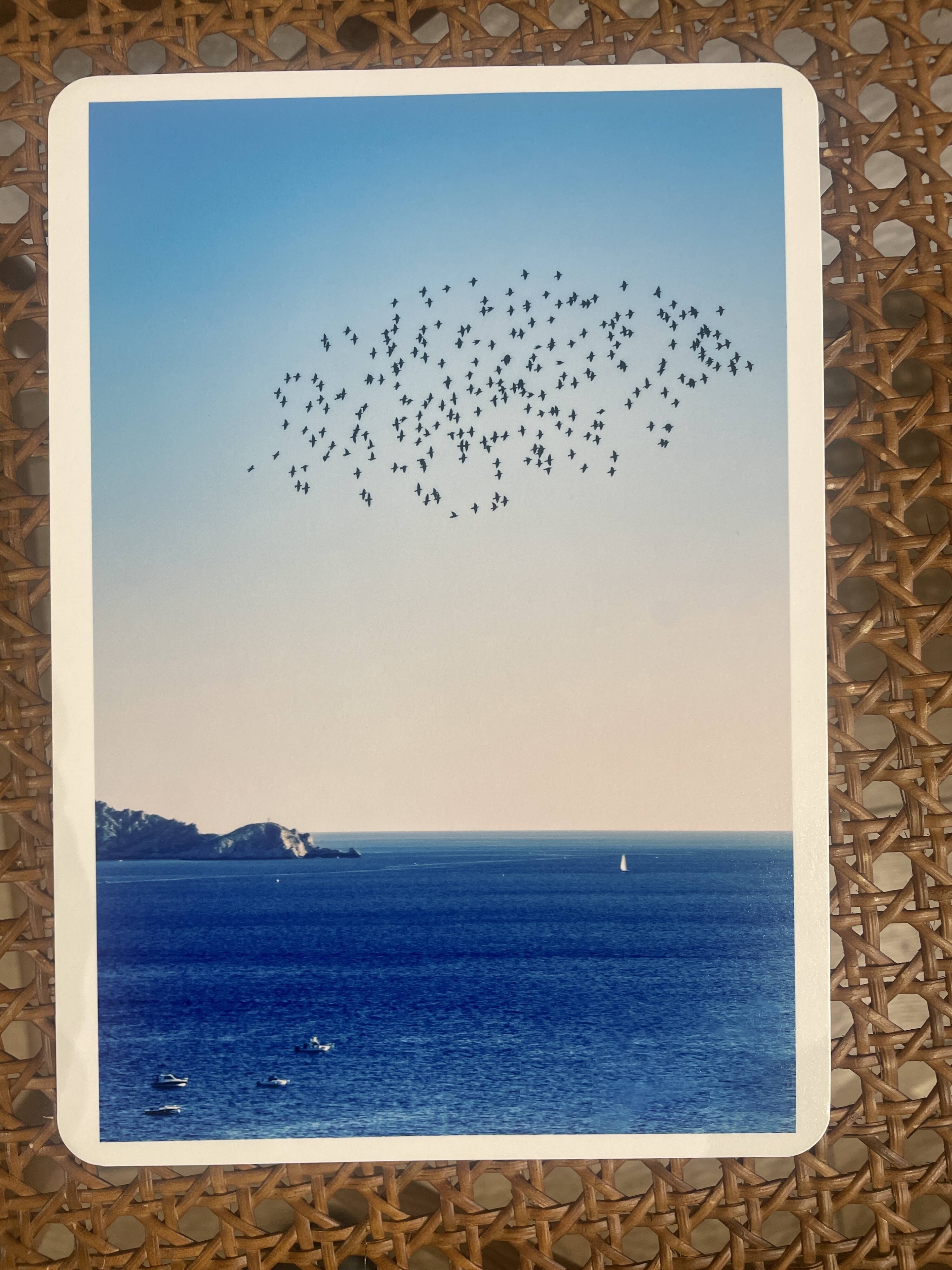Photo Alice Ducheix - Gallery Zones