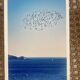 Photo Alice Ducheix - Gallery Zones