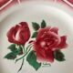 6 Digoin Sarreguemines Cibon dessert plates