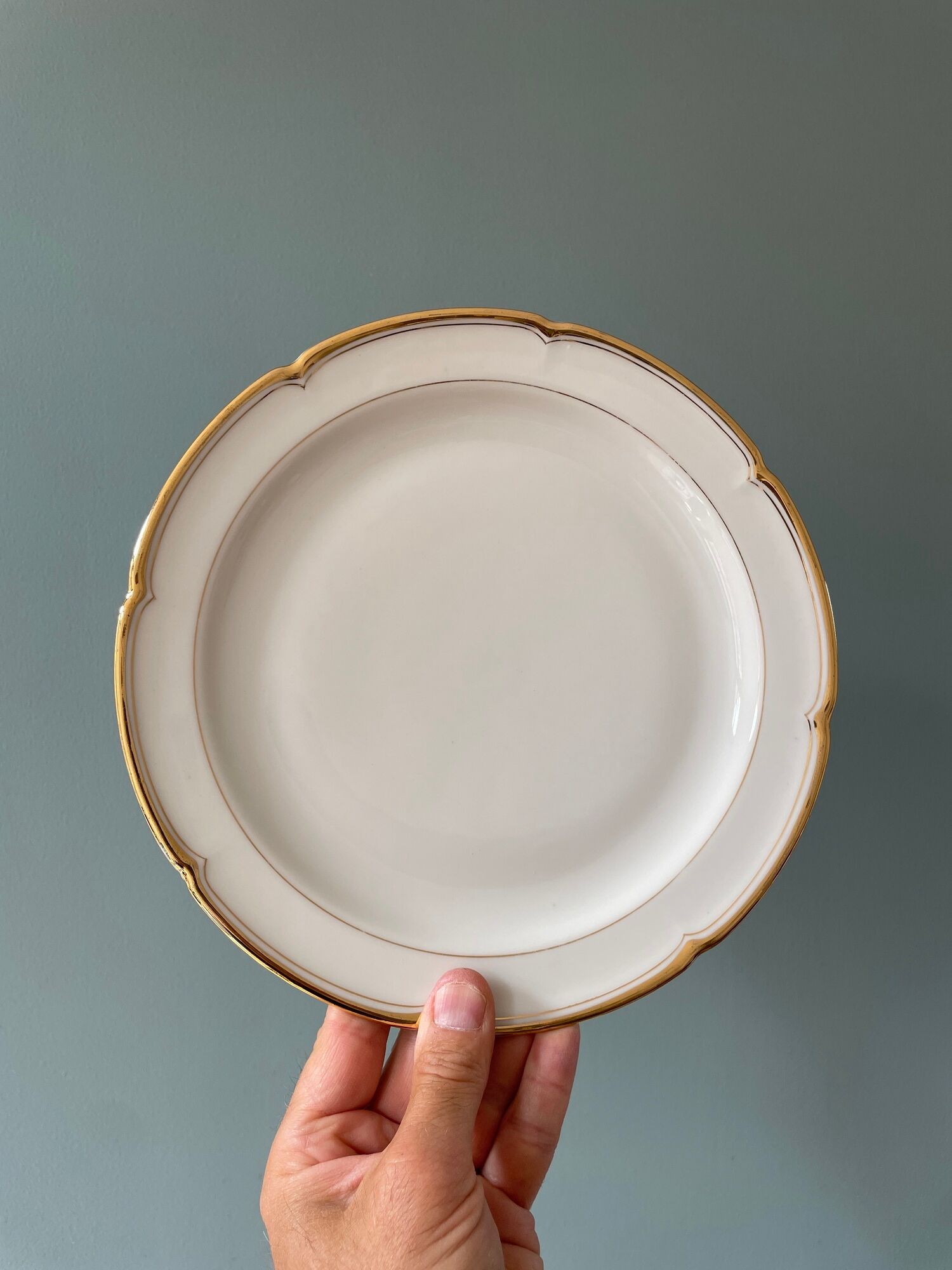 Series of 10 antique flat plates in Limoges porcelain