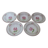 5 stoneware soup plates
