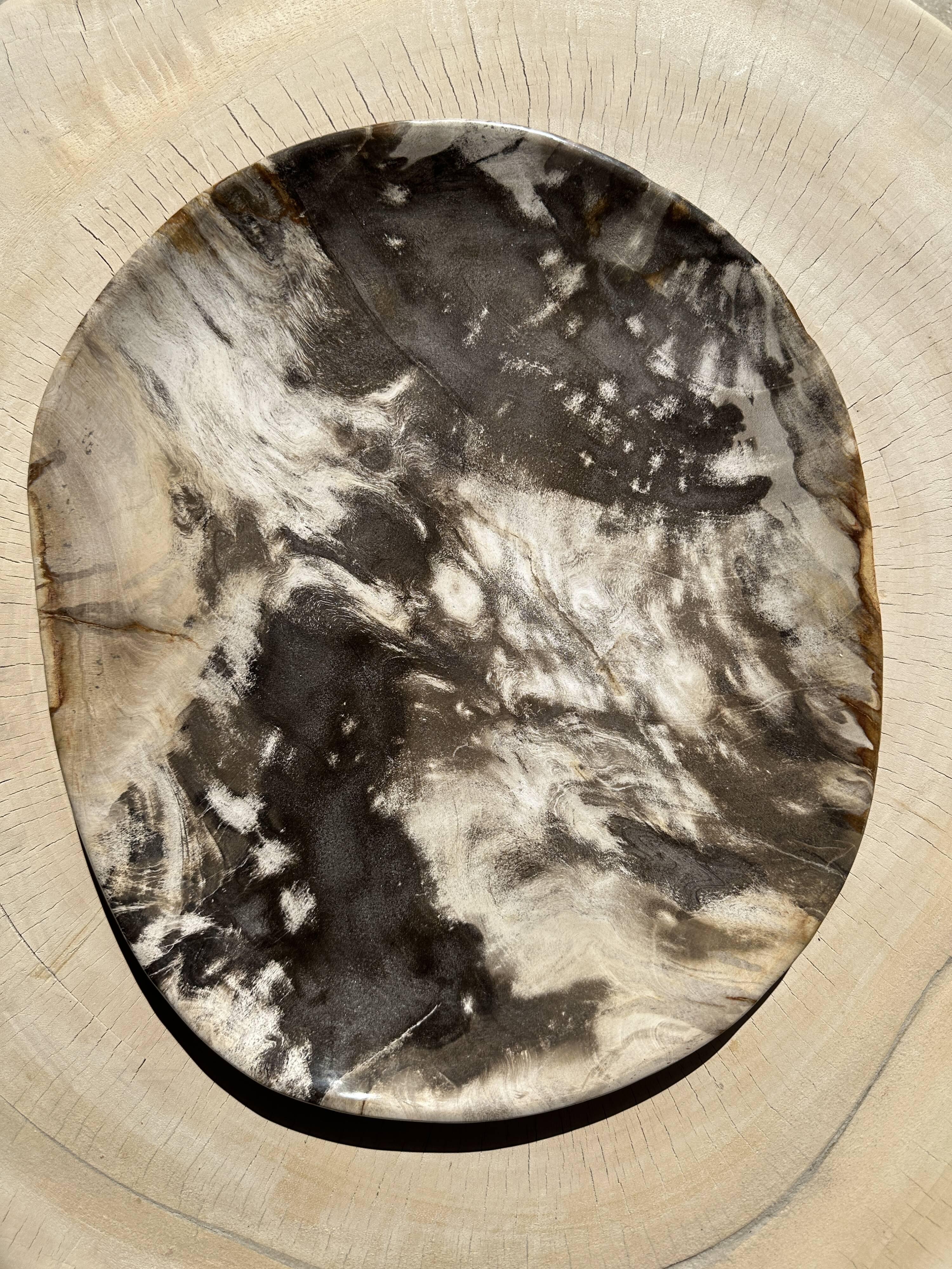 Very large pocket or dish in petrified wood