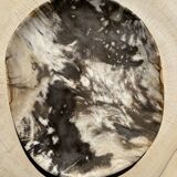 Very large pocket or dish in petrified wood