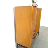 Design Mezulanik showcase with shelves