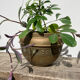 Pot cover in brass chiseled 1960 art nouveau