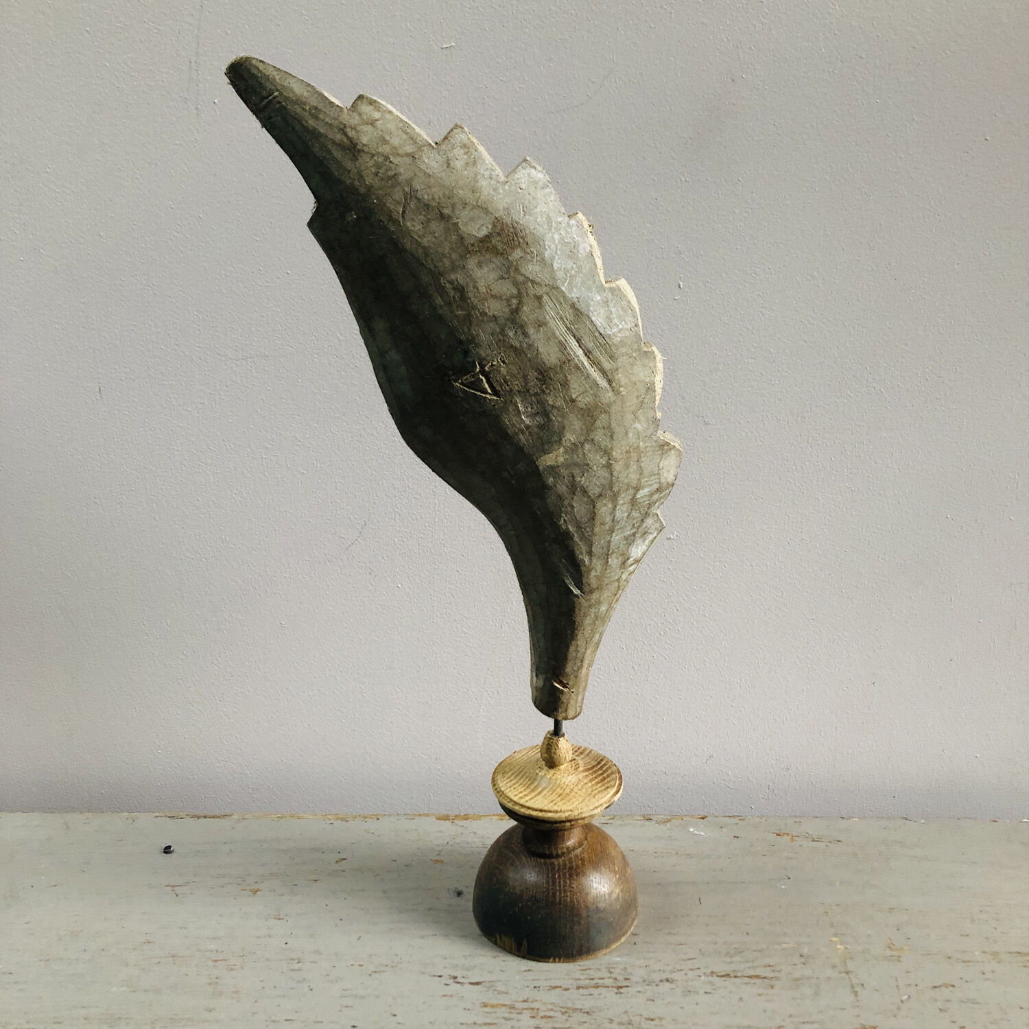 Old wooden wing on pedestal