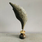 Old wooden wing on pedestal