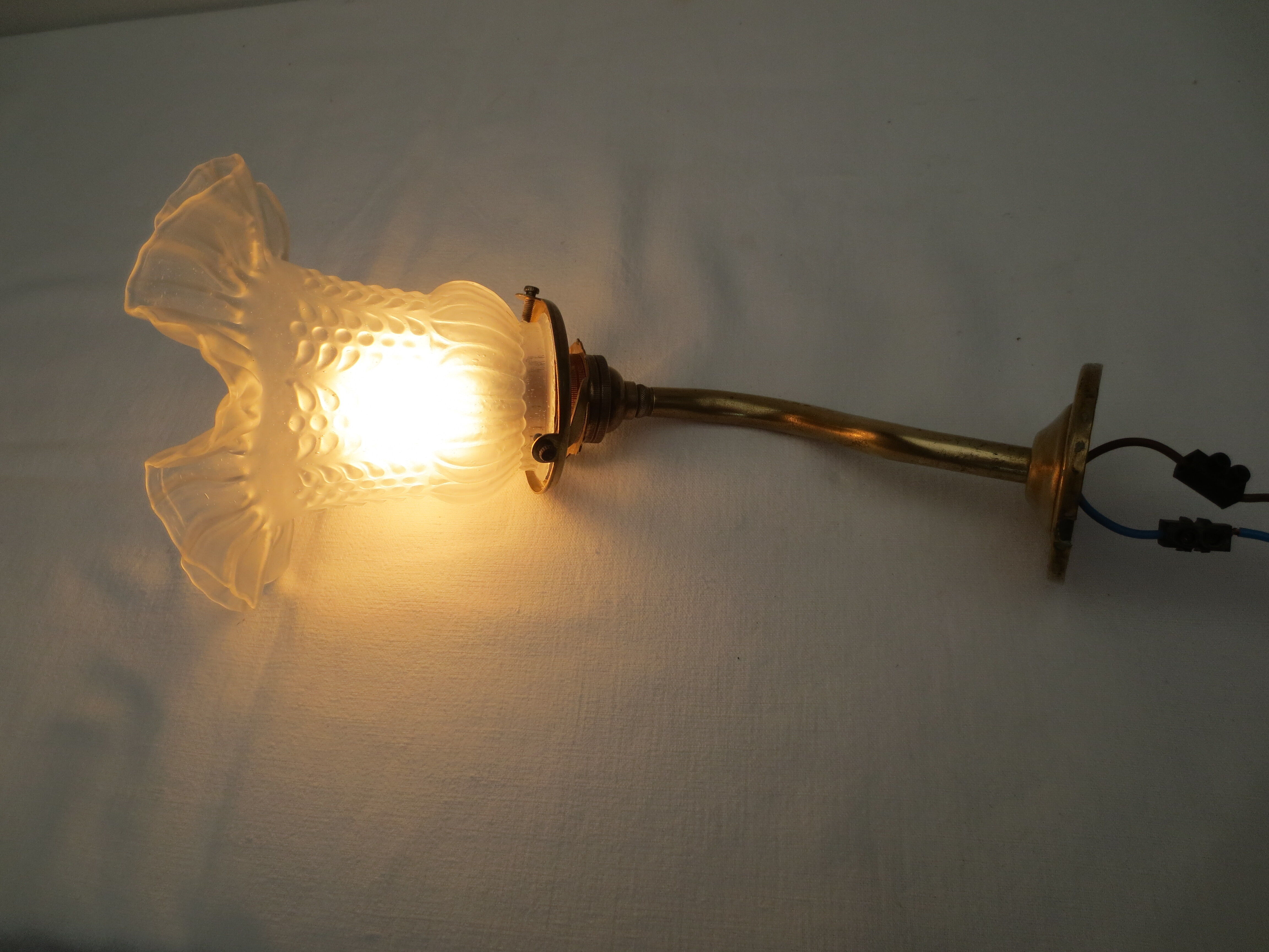 Old gooseneck wall lamp and frosted white glass tulip