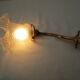 Old gooseneck wall lamp and frosted white glass tulip