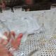 Set of 27 Saint Louis crystal glasses